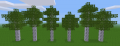 Aspen trees.png