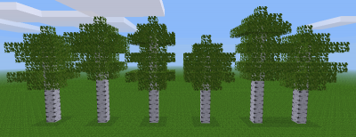 Various aspen trees of varying height