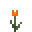 Orange Tulip.png