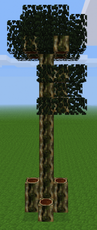 Modern jungle tree (in all mapgens except v6)