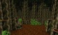 Minetest Game jungle v7.jpg