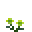 Green Chrysanthemum.png