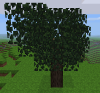 Regular tree in mapgen v6