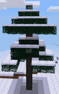 Snow-covered pine tree in v6