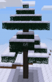 Snow Pine Tree v6.png
