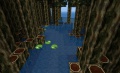 Minetest Game jungle swamp.jpg