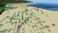 Minetest Game grassland dunes.jpg