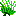Green Coral.png